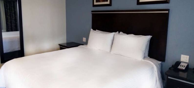 丘拉维斯塔海湾酒店(SureStay Hotel by Best Western Chula Vista San Diego Bay)图片