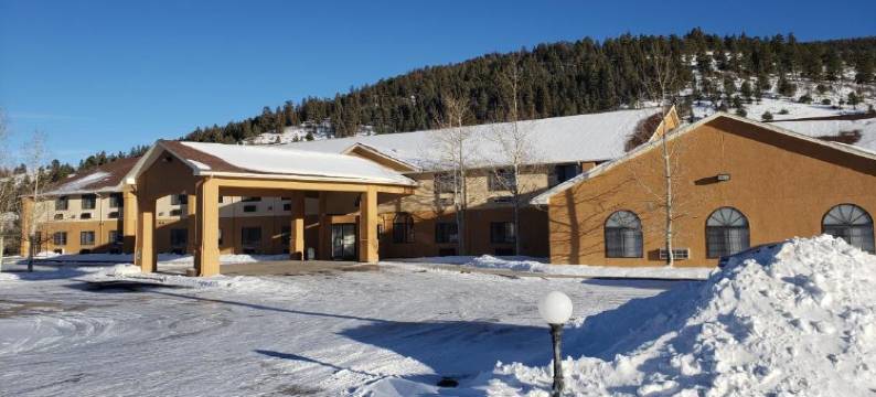 凯艺套房酒店(Quality Inn & Suites)图片