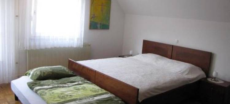 佐尔库戈斯特纳多梅恩旅馆(Guesthouse Zorko Gostilna Domen)图片