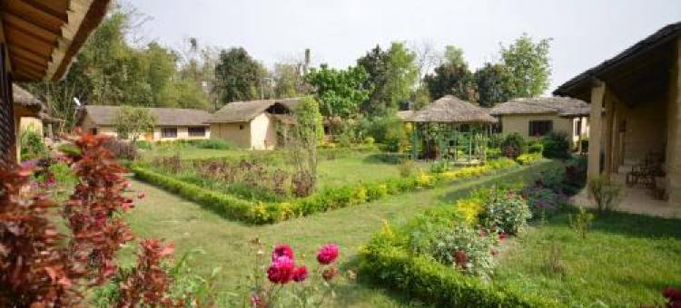 Pvt.Ltd.活泼谢德度假村(Racy Shade Resort Pvt.Ltd.)图片