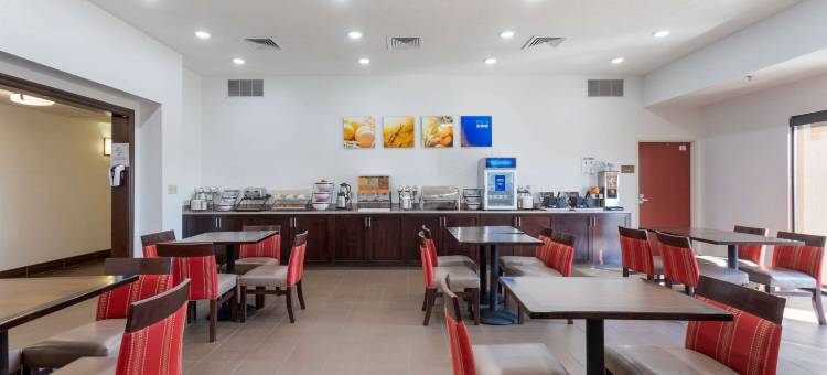 舒适套房酒店(Comfort Inn & Suites)图片