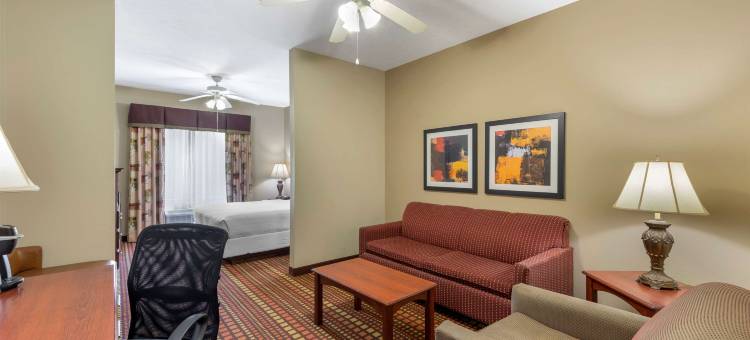 加兹登贝斯特韦斯特优质套房酒店(Best Western Plus Gadsden Hotel  Suites)图片