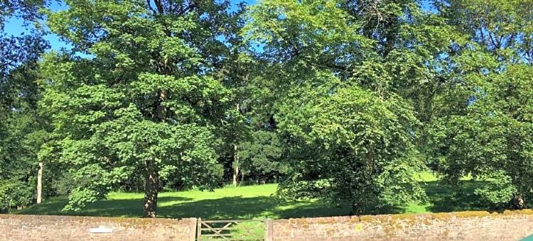 阿普比皇家橡树酒店(Royal Oak Appleby)图片