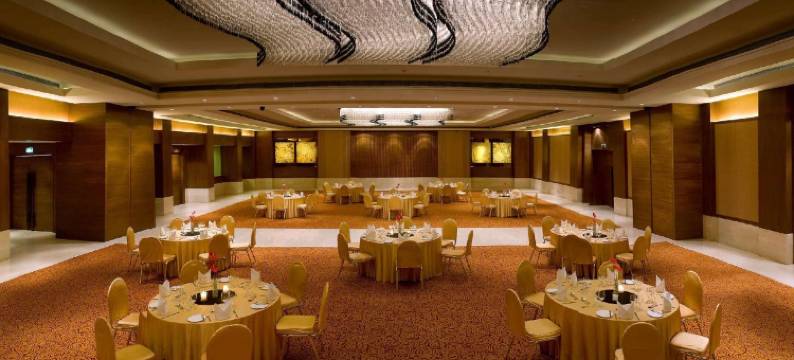 拉利特新德里(The Lalit New Delhi)图片