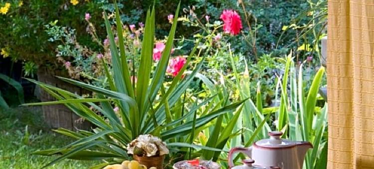 塔威尔客栈(Logis Auberge de Tavel)图片