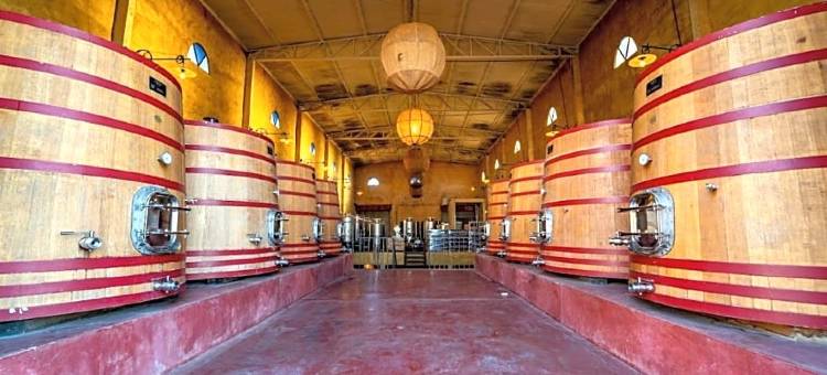 纳博讷酒庄旅馆(Narbona Wine Lodge)图片