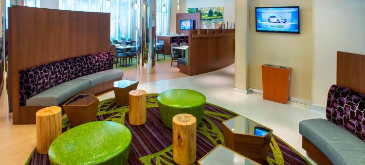 纽约市曼哈顿中城第五大道 SpringHill Suites 酒店(SpringHill Suites New York Midtown Manhattan/Fifth Avenue)图片