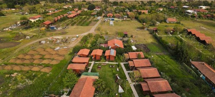 Fire 膳宿公寓(Fire Pansiyon)图片