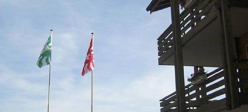 莱森派克卡斯特住宅酒店(Résidence Castel Club Leysin Parc)图片