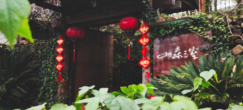 磐安山森三室民宿图片