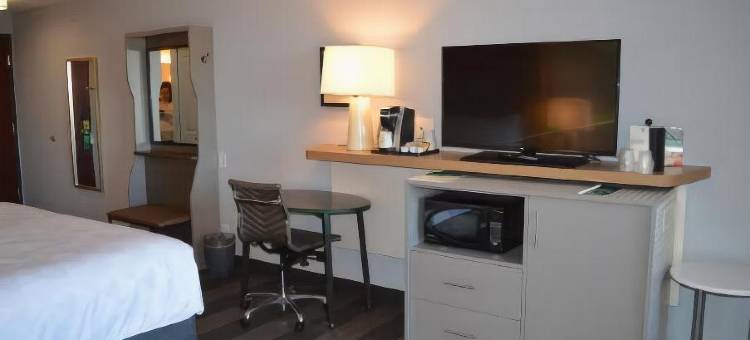 Holiday Inn 奥德萨by IHG(Holiday Inn Odessa by IHG)图片