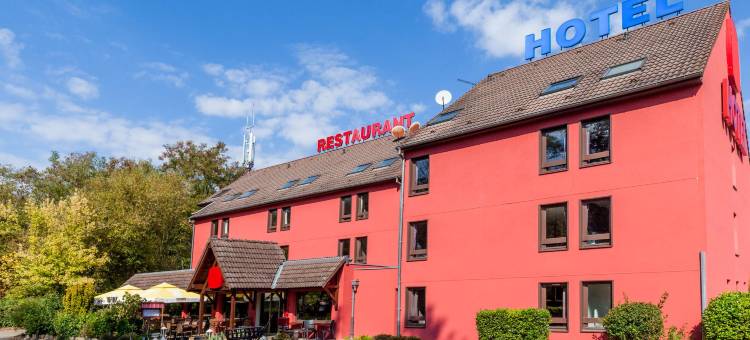 米卢斯东原创城市酒店(The Originals City, Hôtel Mulhouse Est)图片