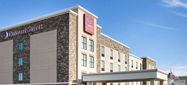 医疗中心舒适套房酒店(Comfort Suites Medical Center)图片