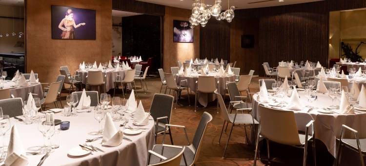 布鲁塞尔皇家丽笙酒店(Radisson Collection Grand Place Brussels)图片