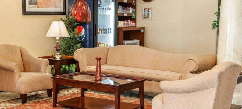 舒适套房酒店-近印第安纳波利斯机场(Comfort Suites Near Indianapolis Airport)图片