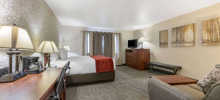 SureStay Plus Hotel by Best Western Buffalo图片