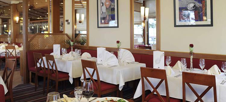 腓特烈斯多夫巴特洪堡美居酒店(Mercure Hotel Bad Homburg Friedrichsdorf)图片