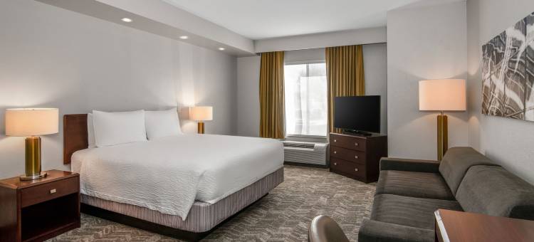 凤凰城格兰岱尔体育娱乐区万豪SpringHill酒店(SpringHill Suites Phoenix Glendale Sports & Entertainment District)图片
