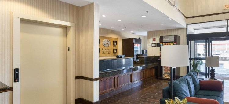 普莱恩维尤舒适套房酒店(Comfort Suites Plainview)图片