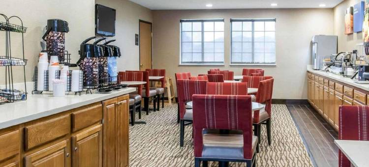 舒适套房酒店(Comfort Inn & Suites Napoleon)图片