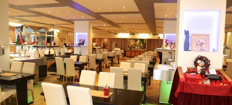 卡里亚哈茨酒店阿尔罗德(Carea Harz Hotel Allrode)图片