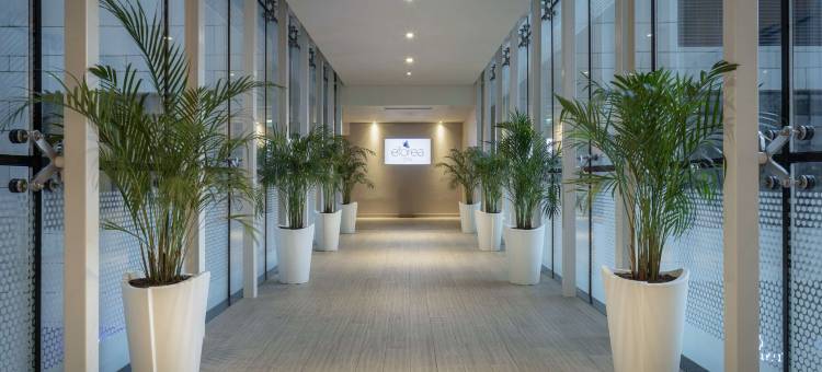 巴统希尔顿酒店(Hilton Batumi)图片