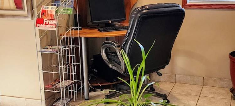 Travelodge by Wyndham Stony Plain图片