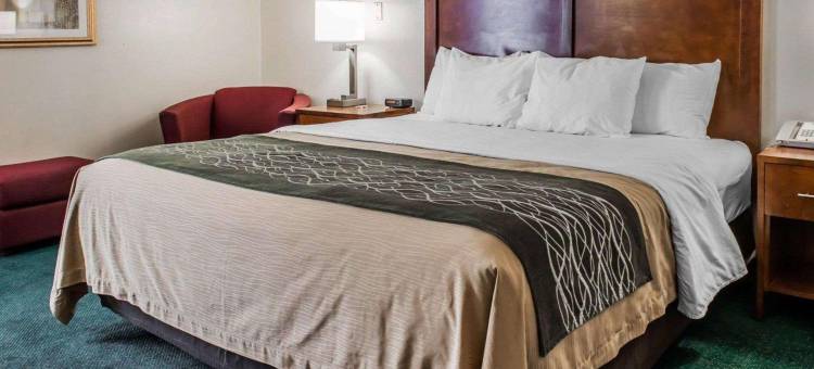 凯艺酒店(Quality Inn)图片