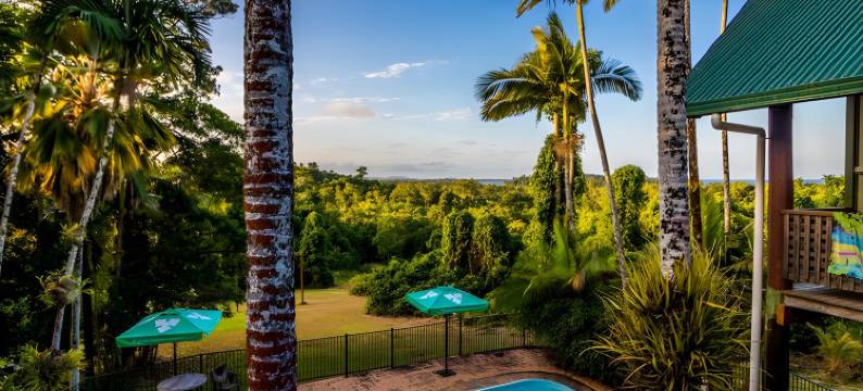 杰卡卢树屋雨林休闲旅馆(Jackaroo Treehouse Rainforest Retreat)图片