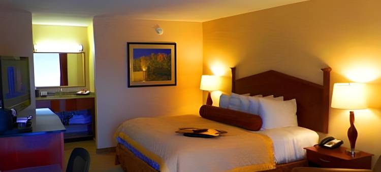 诺福克乡村套房酒店(Norfolk Country Inn and Suites)图片