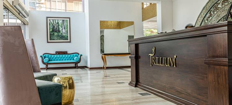 科伦坡特里留精品城市酒店(Trillium Boutique City Hotel)图片