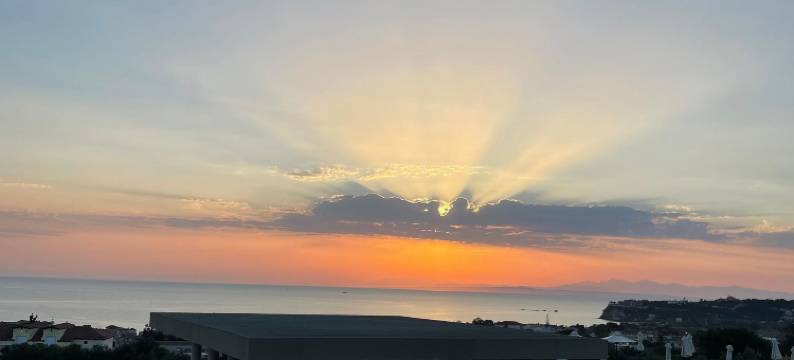 为成人设计的King Jason Zante(King Jason Zante – Designed for Adults)图片