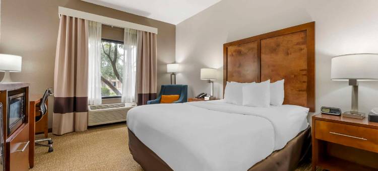 布朗斯维尔I-40舒适酒店(Comfort Inn Brownsville I-40)图片