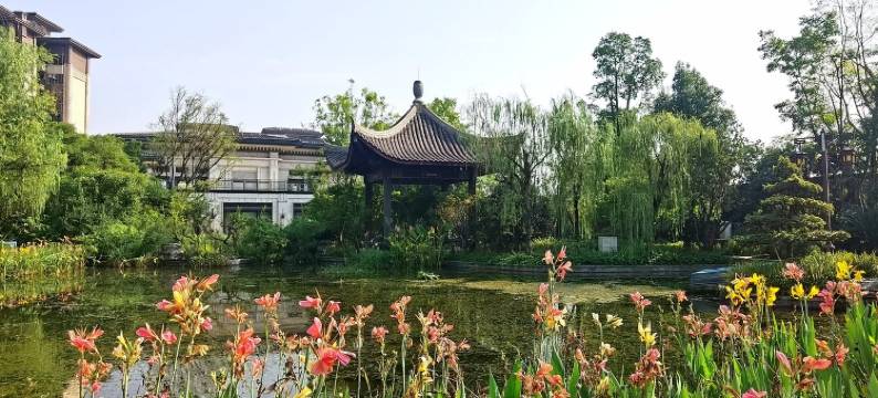 峨眉揽山苑1508公寓(峨洪路1号分店)图片