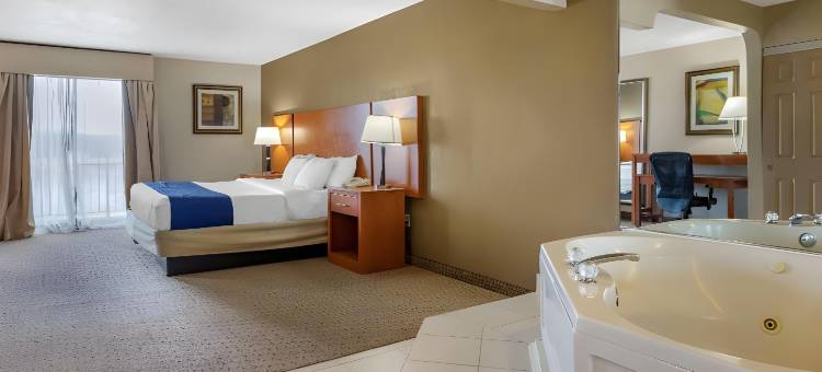 奥本希尔斯舒适套房酒店(Comfort Suites Auburn Hills-Detroit)图片