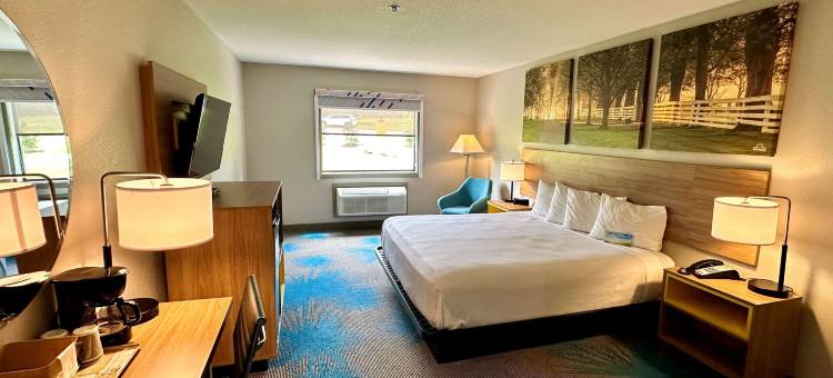 韦恩温德姆戴斯套房酒店(Days Inn & Suites by Wyndham Wynne)图片