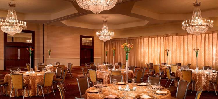 阿尔伯克基上城区喜来登酒店(Sheraton Albuquerque Uptown)图片