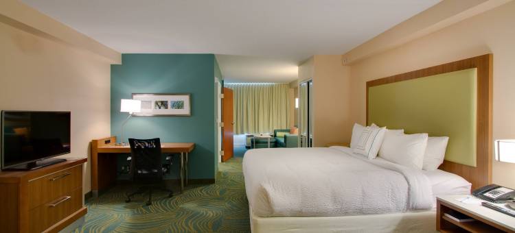奥兰多莱克布纳维斯塔南SpringHill Suites 酒店(SpringHill Suites Orlando Lake Buena Vista South)图片