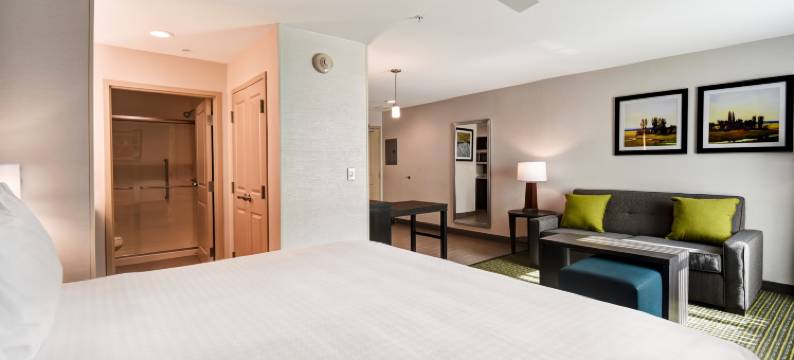 底特律诺维Homewood Suites by Hilton(Homewood Suites by Hilton Novi Detroit)图片