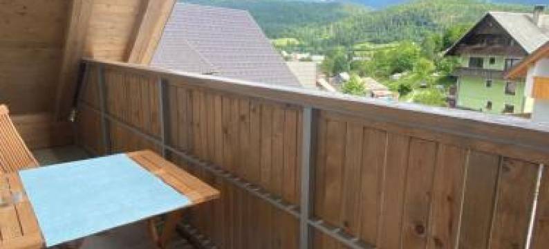 Mountain View in Bohinj图片