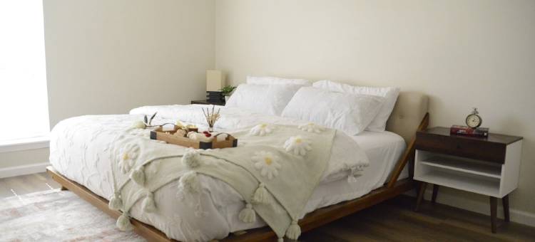 Adorable & Convenient Home in Katy图片