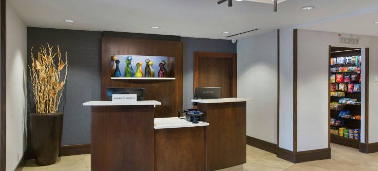 水牛城阿默斯特大学区万怡酒店(Courtyard Buffalo Amherst/University)图片