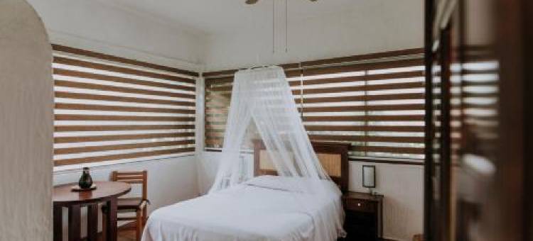神庙酒店(Hotel Boutique Teocalli)图片