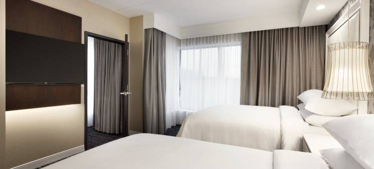 希尔顿亚特兰大东北-格温内特糖山大使套房酒店(Embassy Suites by Hilton Atlanta NE - Gwinnett Sugarloaf)图片