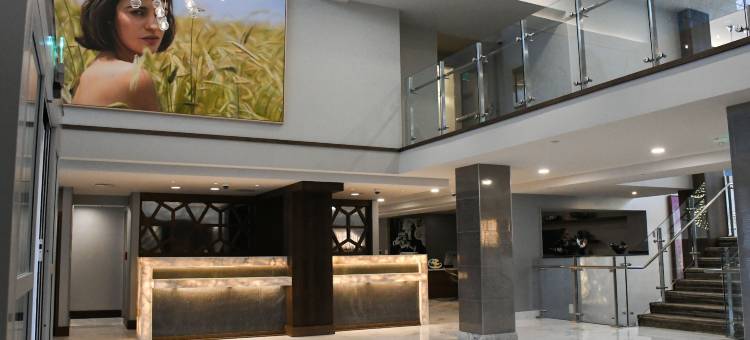 金斯利布卢姆菲尔德山 - 希尔顿逸林酒店(The Kingsley Bloomfield Hills - a DoubleTree by Hilton)图片