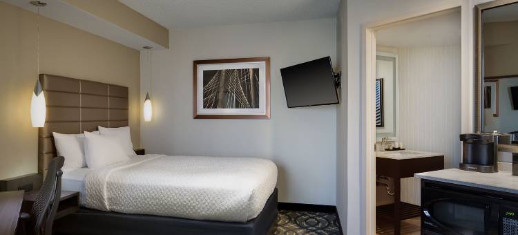 达拉斯爱田希尔顿大使套房酒店(Embassy Suites by Hilton Dallas Love Field)图片