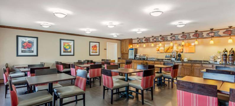 舒适套房酒店(Comfort Inn & Suites)图片