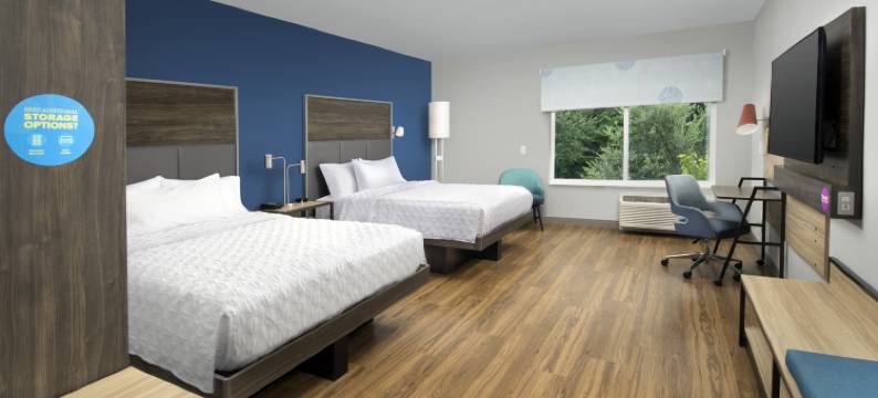 芒特普莱森特查尔斯顿希尔顿Tru酒店(Tru by Hilton Mt. Pleasant)图片