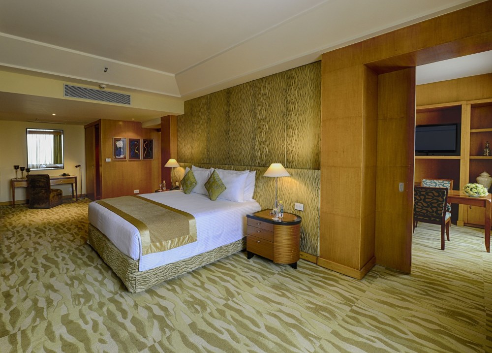 The Grand New Delhi Hotel Overview