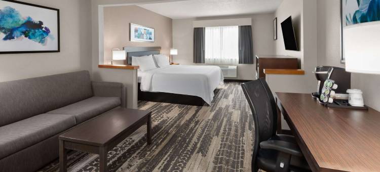 马里恩蔚景温德姆酒店(Wingate by Wyndham Marion)图片